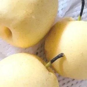 

pear century 1kg