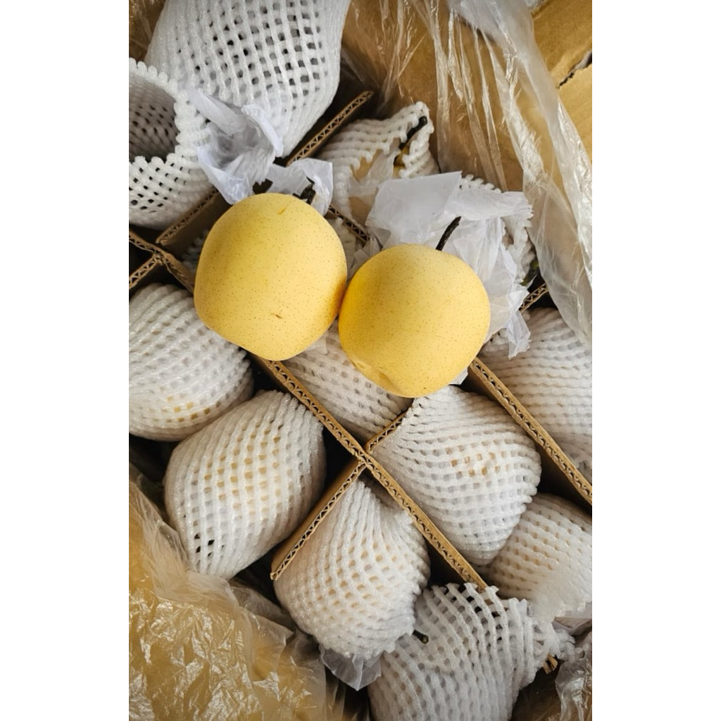 

Pear Century Madu Manis 1kg