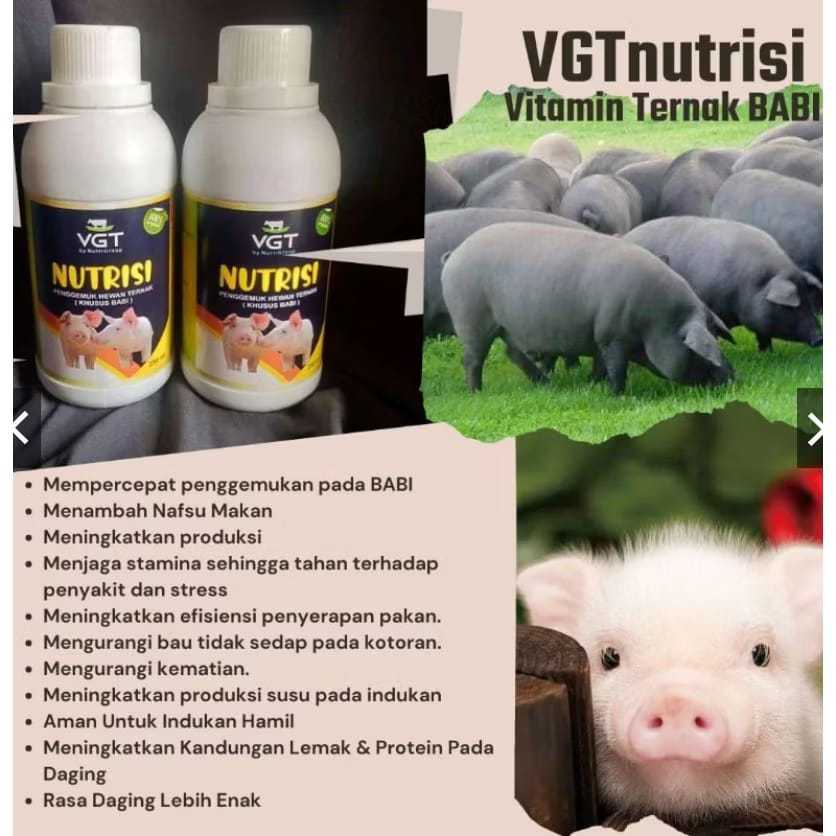 VGT NUTRISI PENGGEMUK BABI PENGGEMUK HEWAN TERNAK VITAMIN PENAMBAH NAFSU MAKAN BABI
