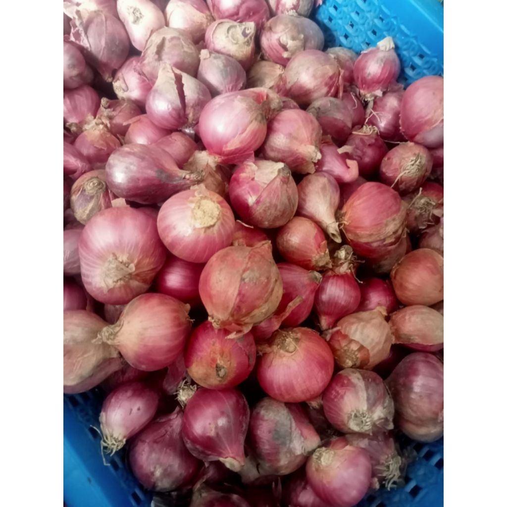 

Bawang Merah Murah 120 Gram