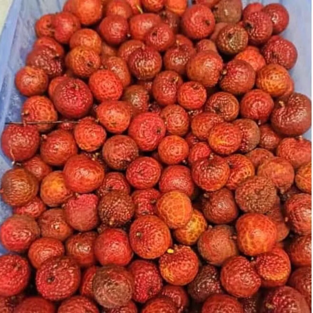 

Buah Lychee Fresh Pack 500 Gram
