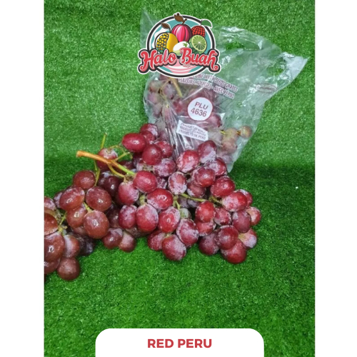 

BUAH Import Sweet Anggur Peru 1kg
