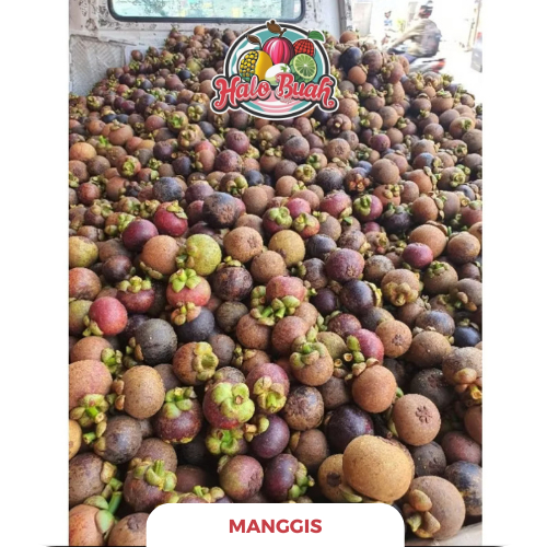 

BUAH Manggis lokal 1kg