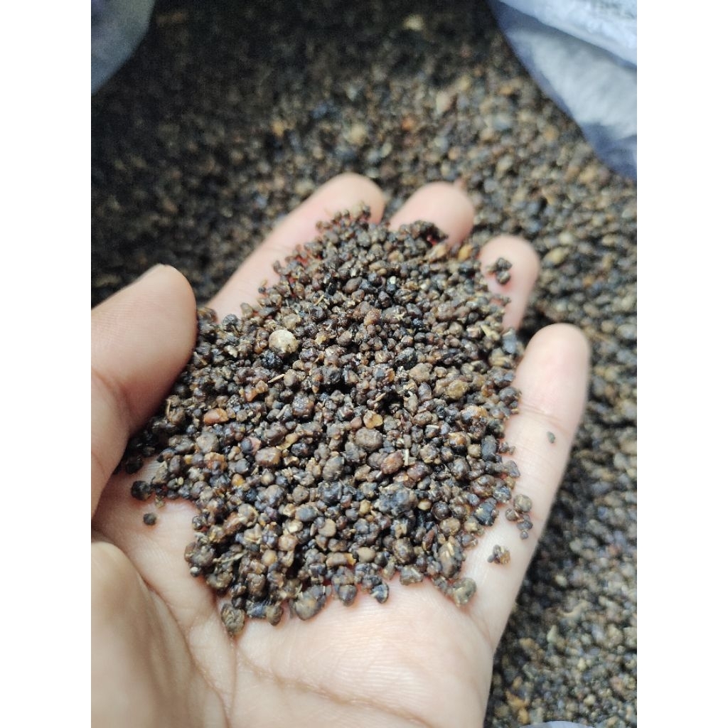 

TIWOL SINGKONG/TIWOL 100% ALAMI /TIWOL HITAM