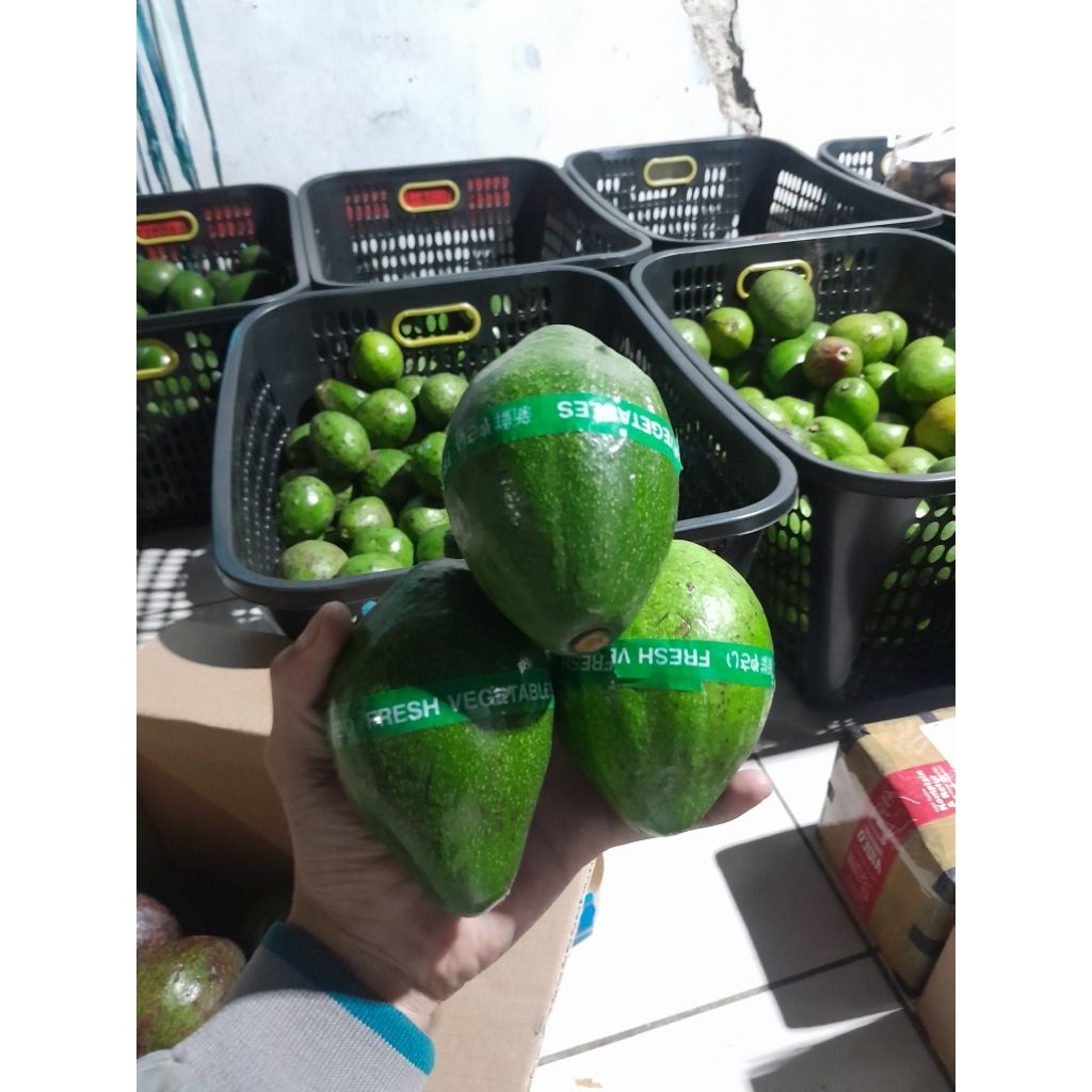 

alpuket mentega biji kecil daging Tebal