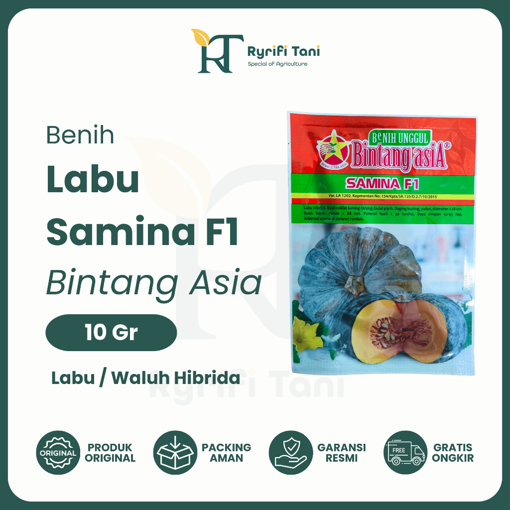 Bintang Asia - Benih Bibit Labu Waluh Kuning Hibrida SAMINA F1 10 Gram Bintang Asia