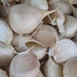 bawang putih kating 1kg