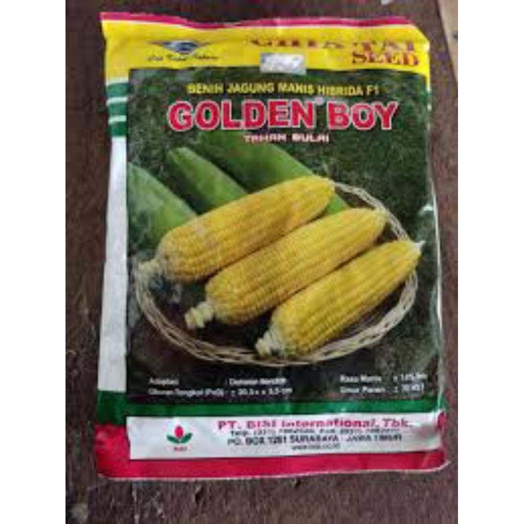 

JAGUNG MANIS HIBRIDA F1 GOLDEN BOY CAP KAPAL TERBANG KEMASAN 1.800 BIJI