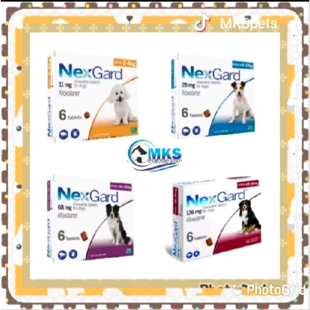 Nexgard Obat Kutu anjing/Tablet kunyah
