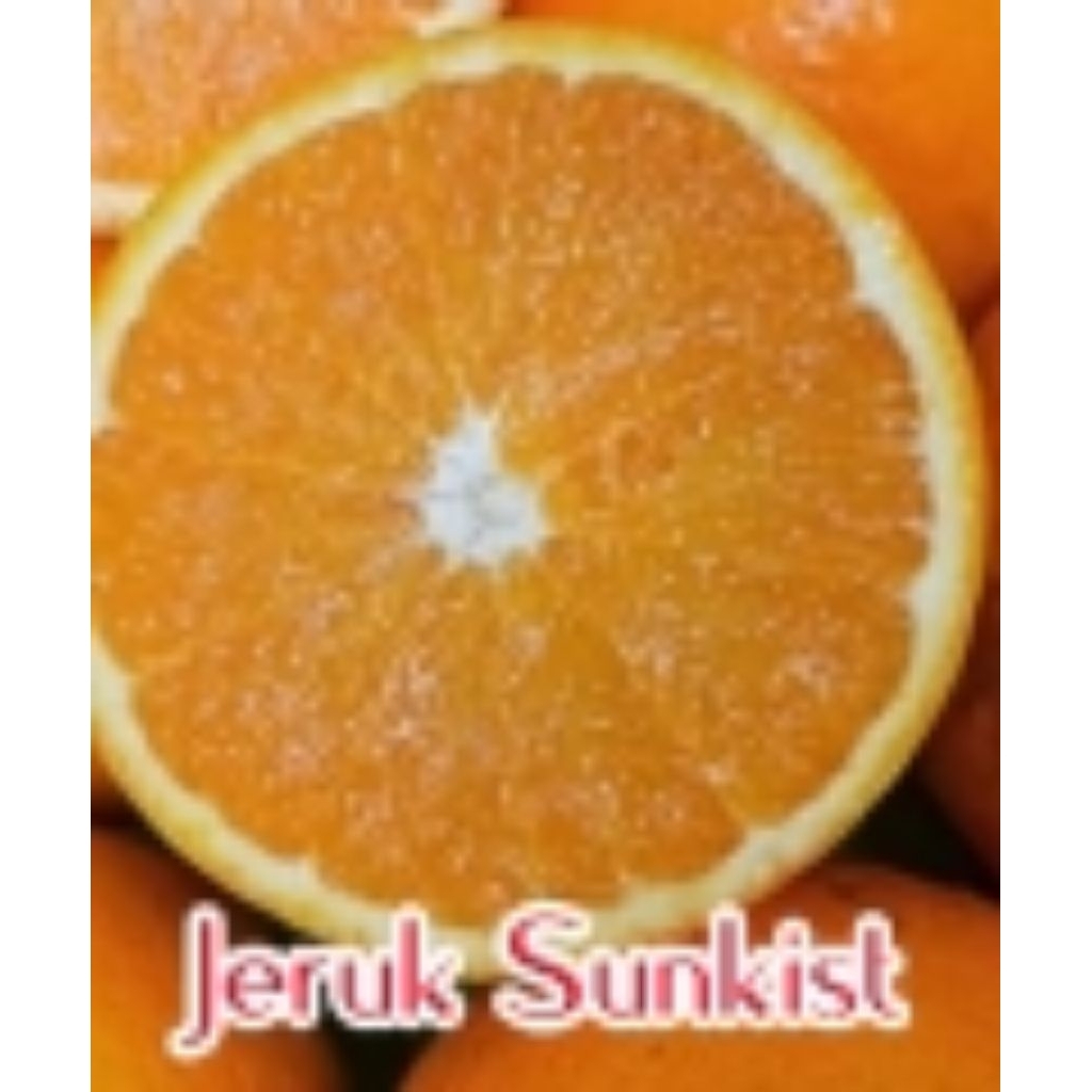 

(terbaru) Bibit Tanaman Buah Jeruk Sunkist-super Genjahh,cepat berbuah