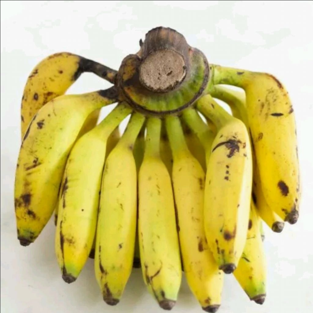 

pisang uli super 1kg