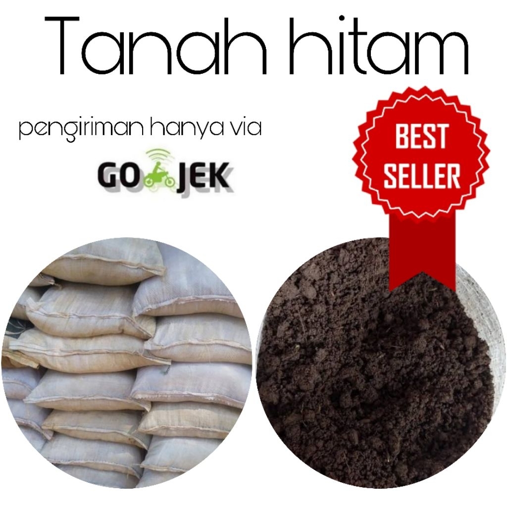 Tanah Lembang / Tanah Hitam / media tanah hitam subur
