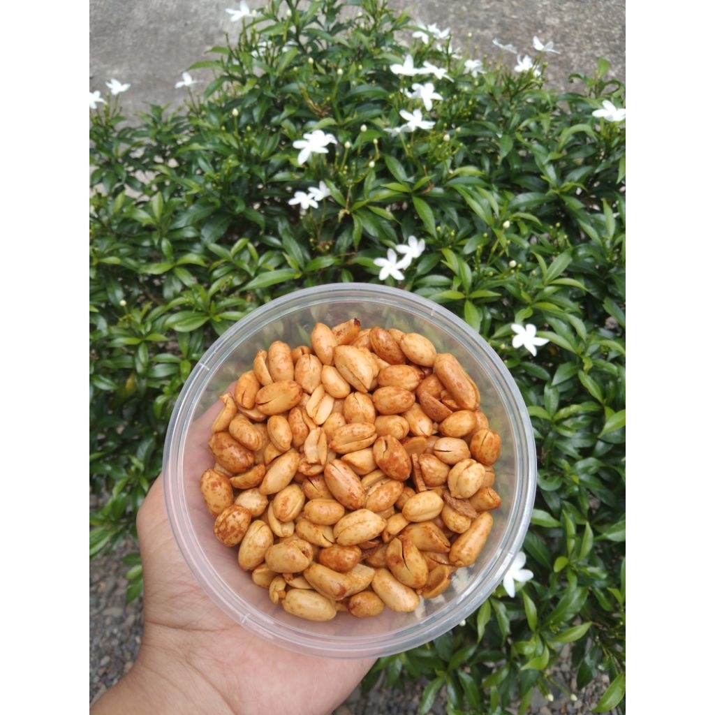 kacang asin gurih