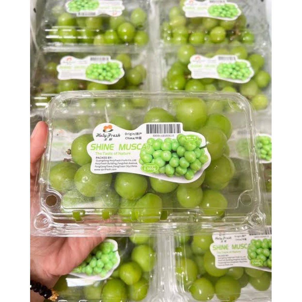 

Anggur Muscat Import Grade A