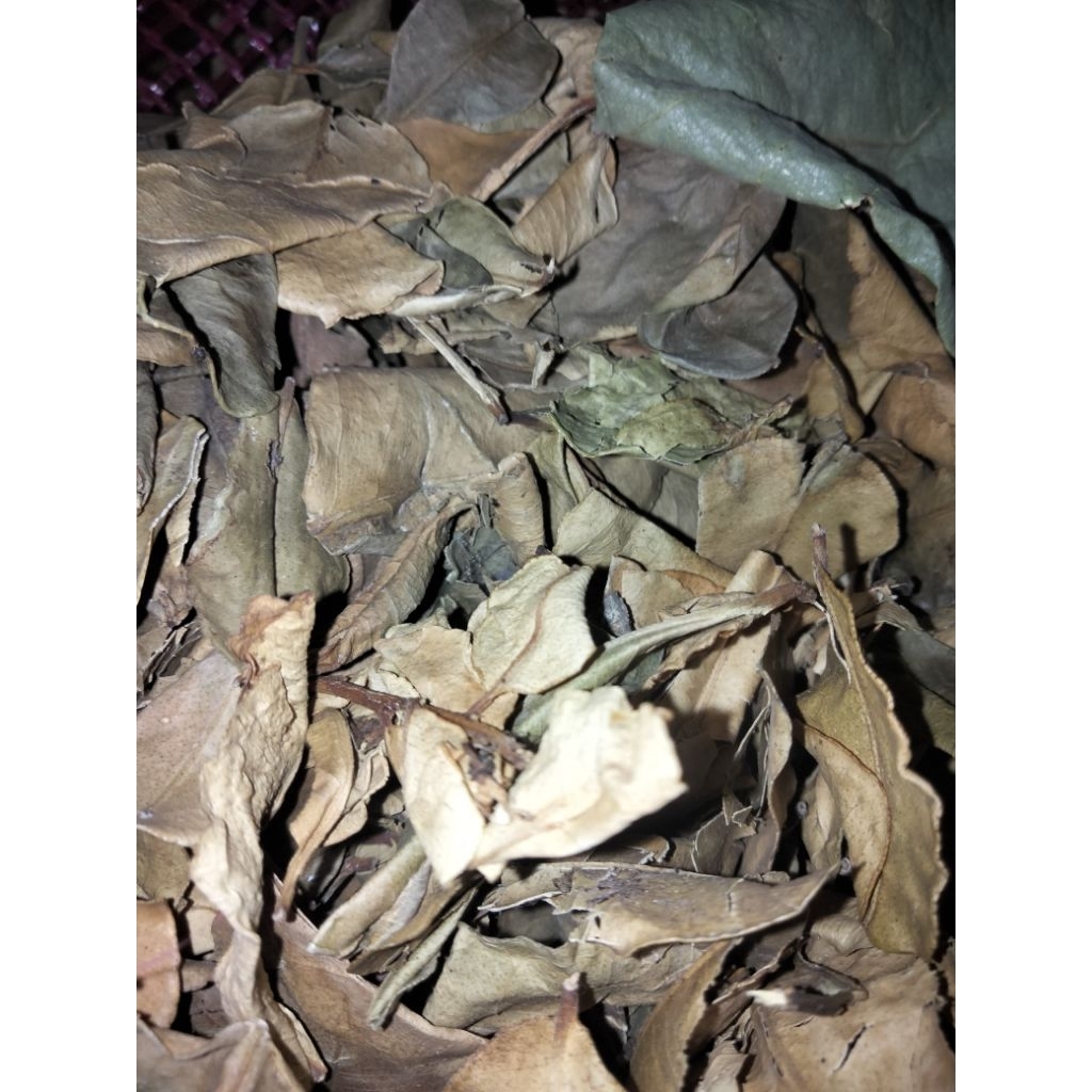 

daun jeruk purut 1 kg kering hijau