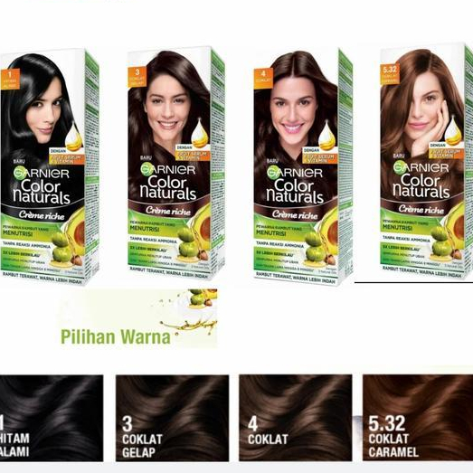 Garnier Color Natural Box(Kemasan BOX)/Cat Rambut Pria Wanita