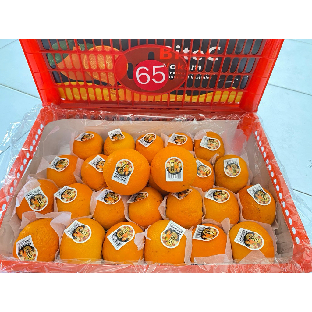 

JERUK WOGAN MANDARIN