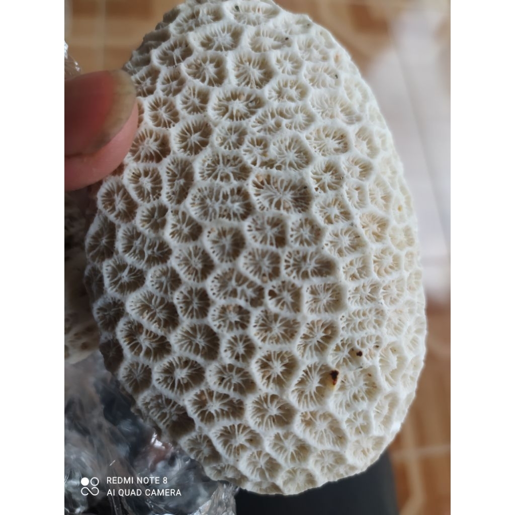 BATU ALAM UNIK DAN LANGKA