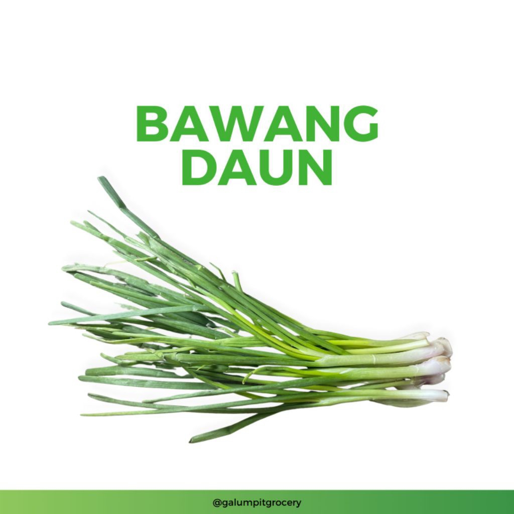 

Daun Bawang Segar 100gr | Kirim Instant Bandung Timur
