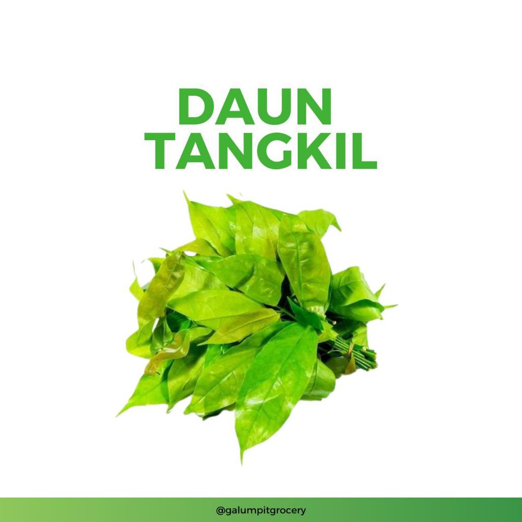 

Daun Melinjo / Daun Tangkil 100gr - Kirim Instant Bandung Timur