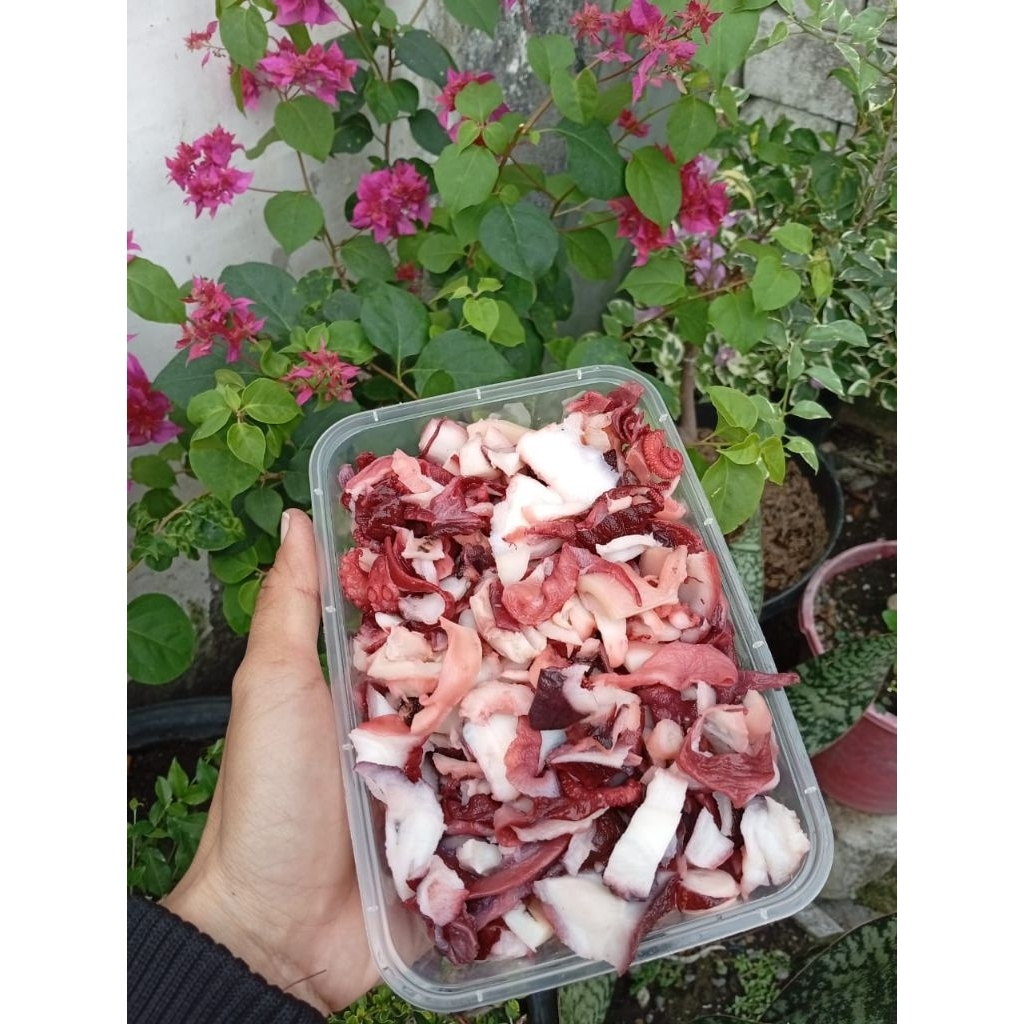 

Gurita Cut 500gr ,& 1KG Siap Masak!