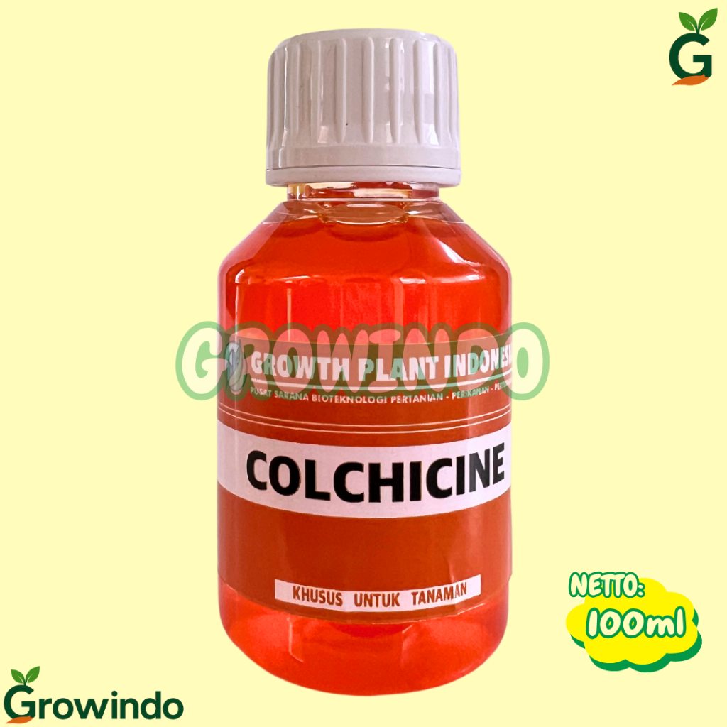 Hormon COLCHICINE 100ml Perangsang Mutasi Daun Unik & Perbanyakan Tanaman