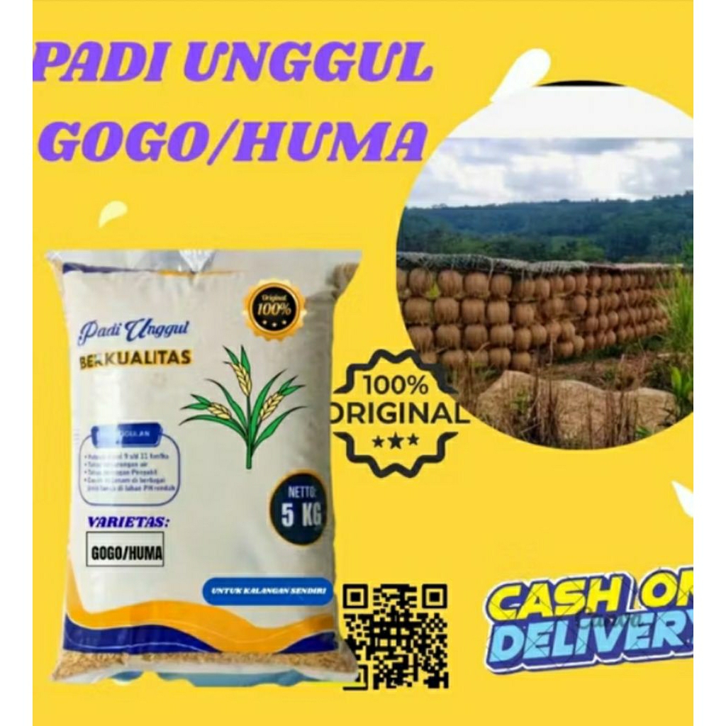 benih padi unggul GOGO/HUMA 5Kg
