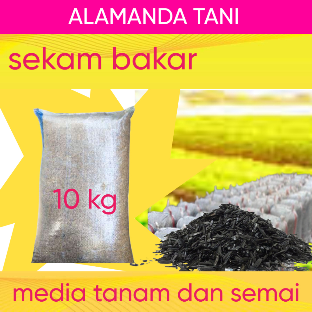 ALAM TANI - Sekam Bakar 1 Karung Ukuran 10 - Media Tanam Sekam Bakar 1 Karung