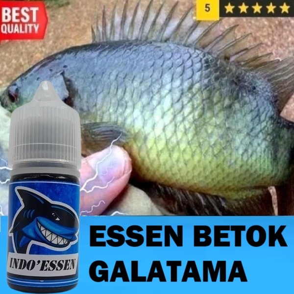 ESSEN IKAN BETOK GALATAMA | UMPAN AMPUH BETOK JUMBO & HARIAN ISI 30ML