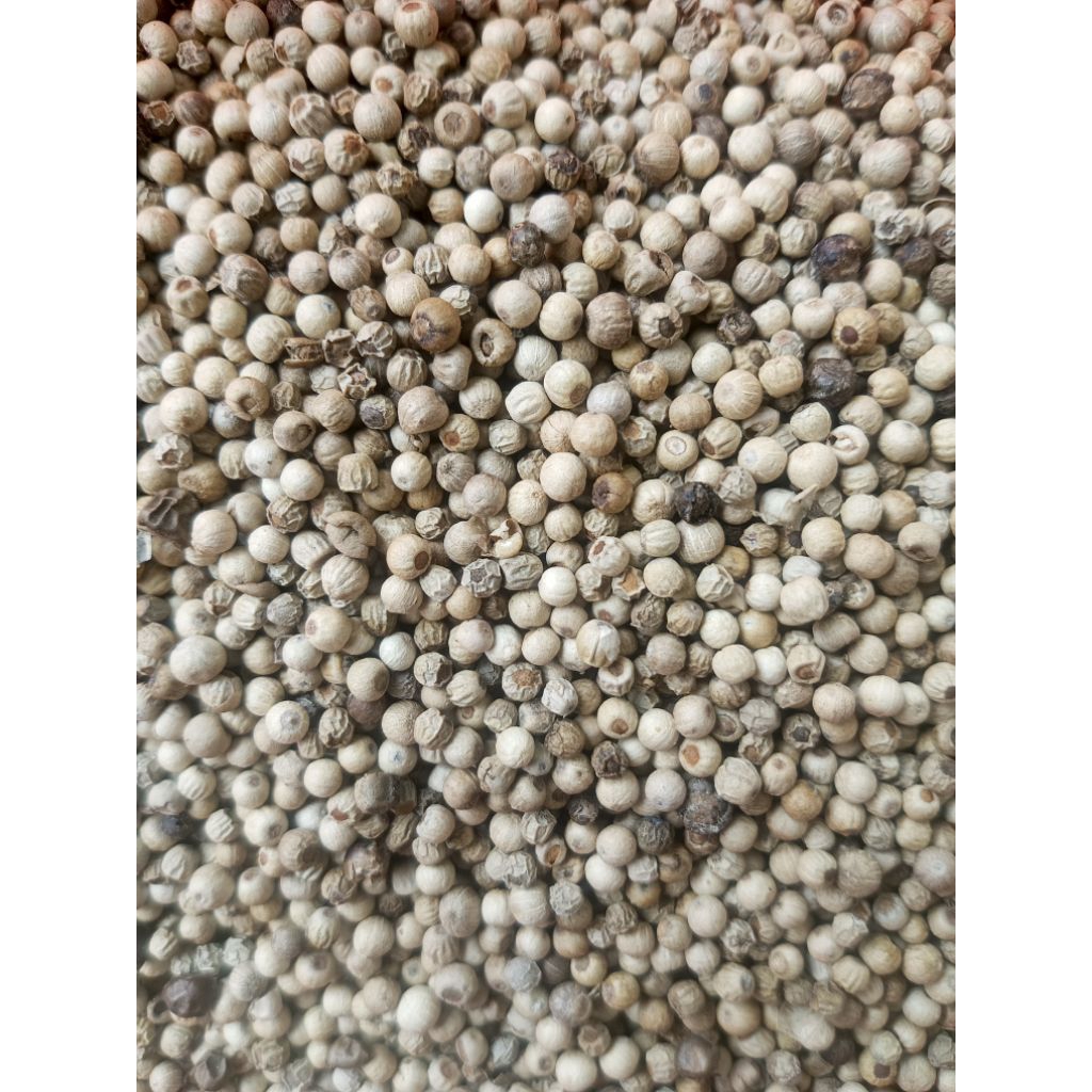 

lada/ merica butir ori