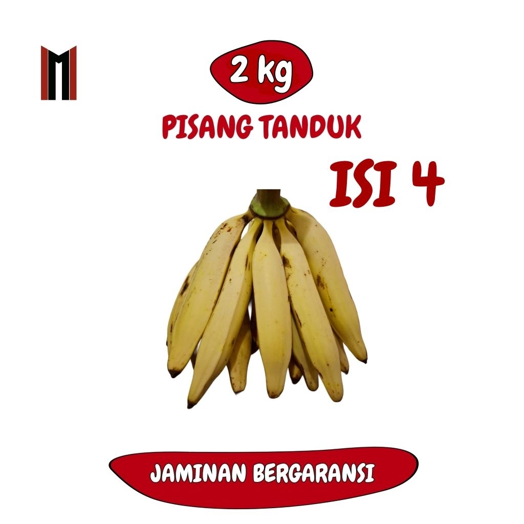 (2KG) ISI 4 PISANG TANDUK/BYAR SUPER JUMBO ASLI PATIAYAM