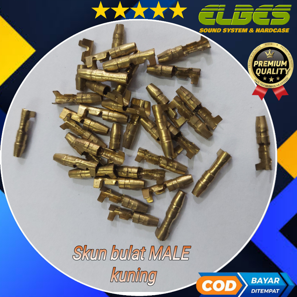 SKUN BULAT KUNING FEMALE dan MALE