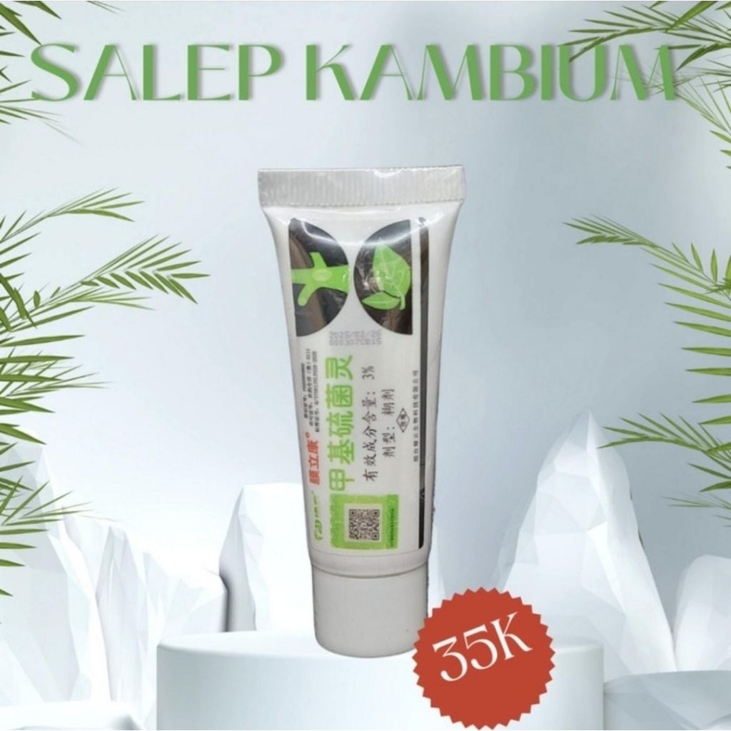 SALEP KAMBIUM TANAMAN BONSAI, ASLI IMPORT