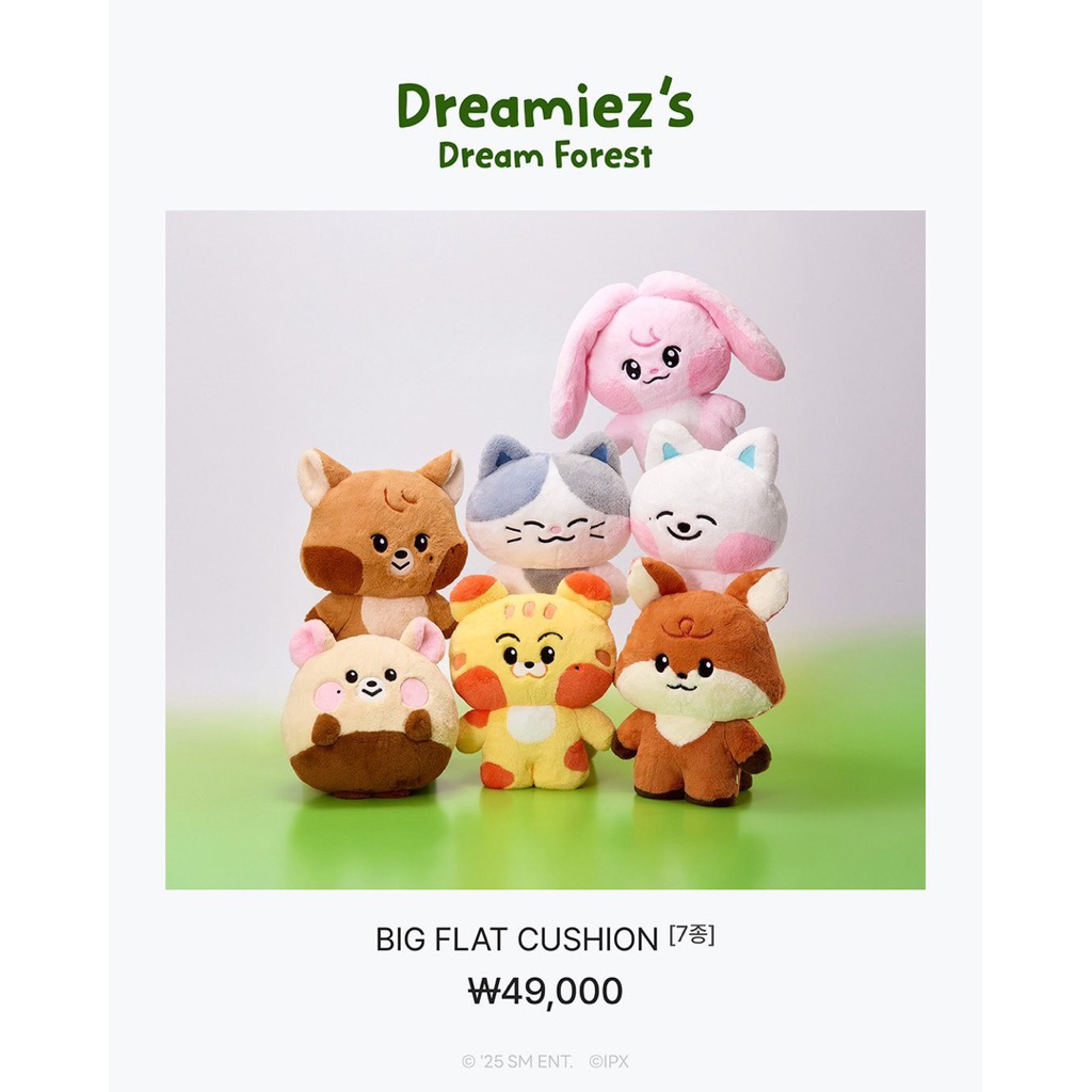 [PRE ORDER] MD BIG FLAT CUSHION 40CM DOLL BONEKA NCT DREAM X LINE FRIENDS DREAMIEZ FOREST MARK RENJU