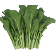 

Sawi Hijau Manis 500 gram