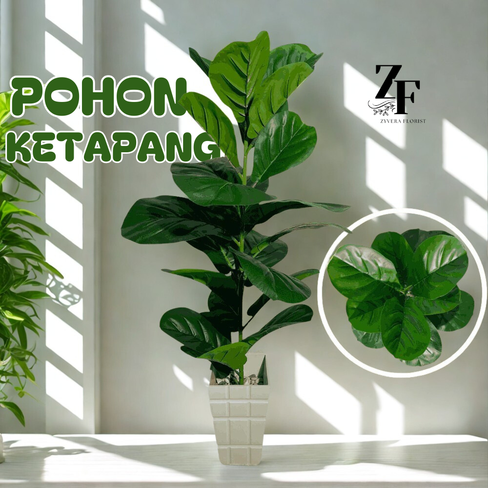Tanaman KETAPANG Latex Pohon KETAPANG Buatan Premium Artificial Pohon KETAPANG / CZ-200-2