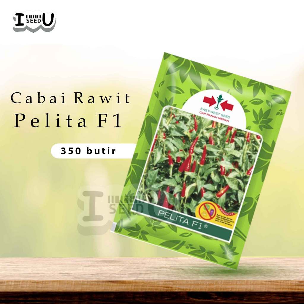 Benih Cabe Rawit Pelita F1 – Cap Panah Merah, Unggul & Produktif, Cepat Panen dan Tahan Penyakit