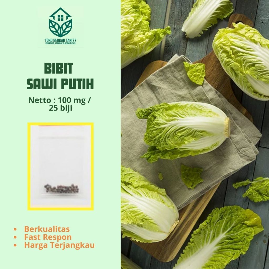 Benih Sayuran Sawi Putih Bibit Sawi Putih Sawi Box Unggul Bibit Tanaman Sayuran Berkualitas