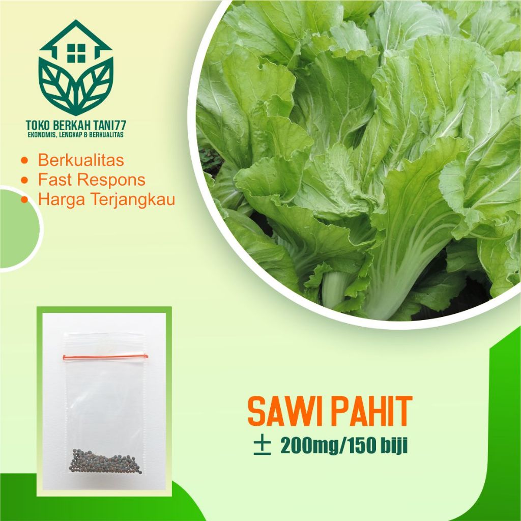 Benih Sayur Sawi Pahit Bibit sawi Pahit Benih Bibit Sayuran Berkualitas