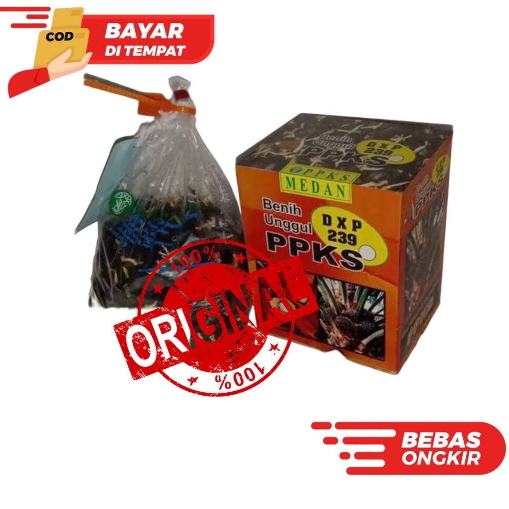 BENIH BIBIT PPKS 239 UNGGUL BERSERTIFIKAT