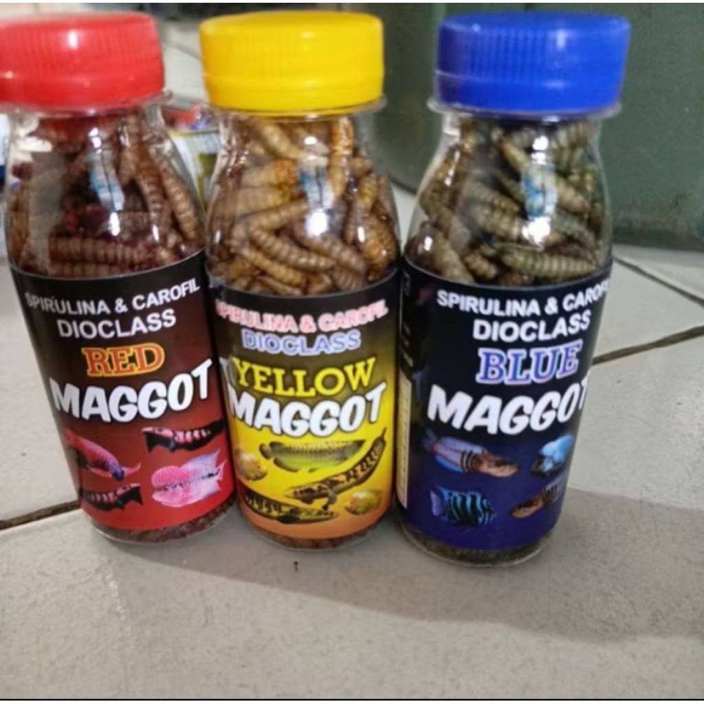 MAGGOT RED YELLOW BLUE SPIRULINA & CAROPHYLL