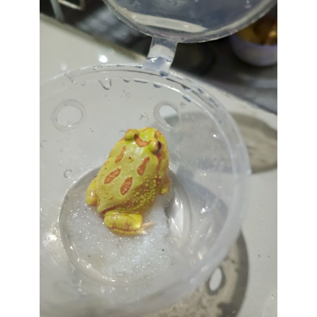 pacman