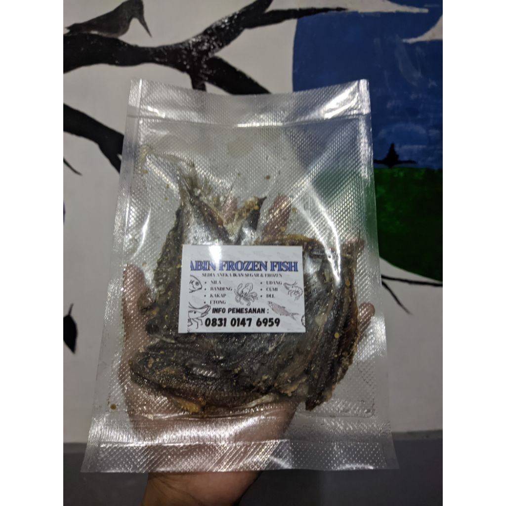 

ASIN MANIS KEMASAN VACUM ASLI BLANAKAN