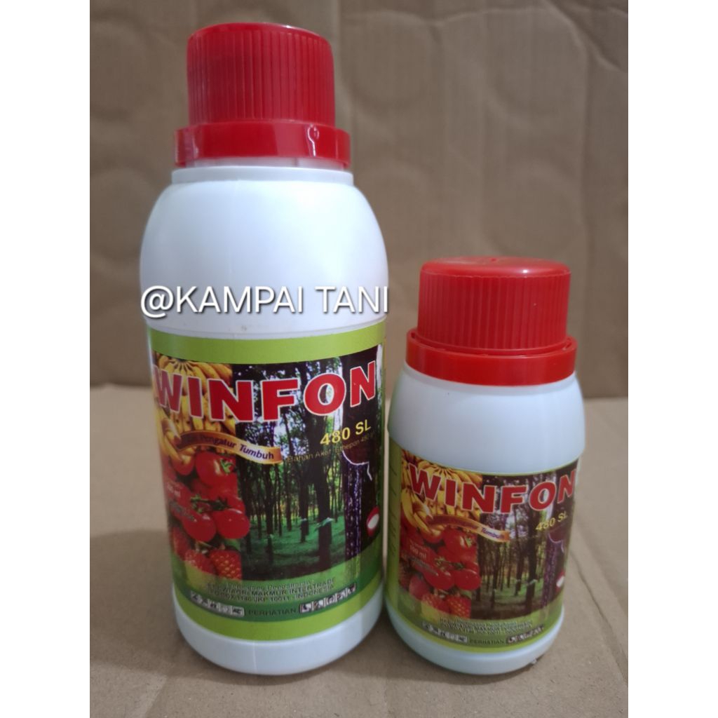 ZPT WINFON 480SL PEMATANG BUAH 200ML DAN 100ML