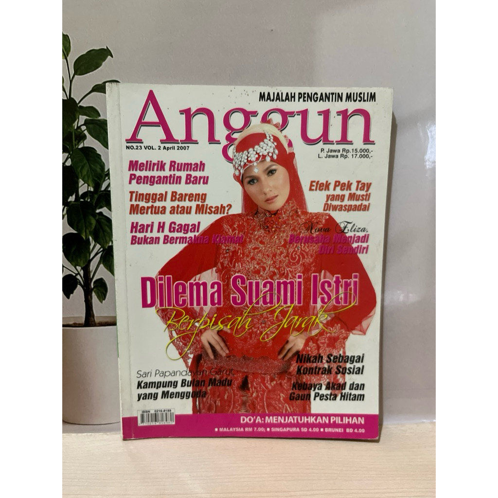 Anggun - Dilema Suami Istri