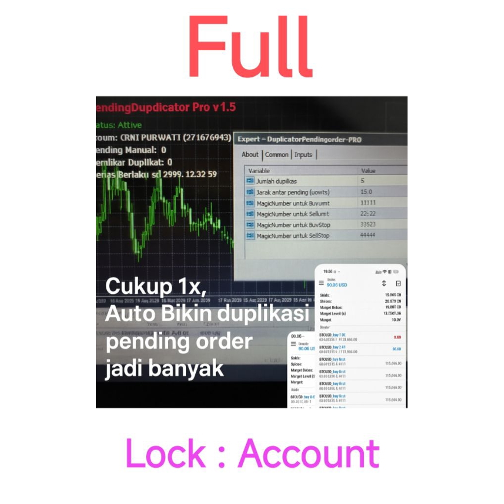 EA Duplicator pending order : Full Account tahun 2999