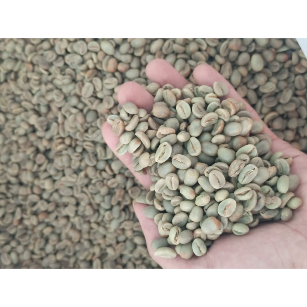 

Green Beans Arabika Bengkulu (natural Kepahiang )