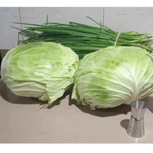 

Kobis kol segar kualitas bagus siap masak