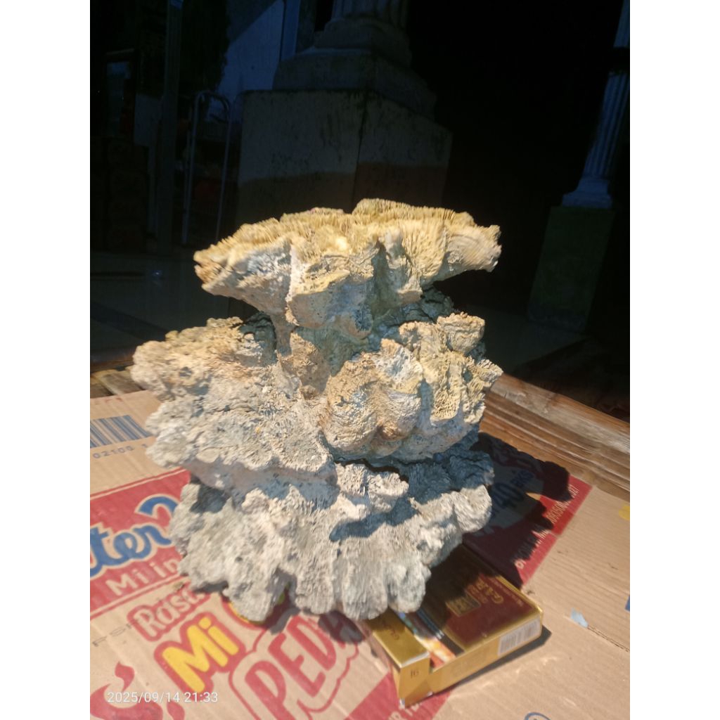 bonsai karang motif bunga