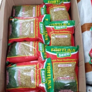 Terlaris Benih Padi Hibrida Fortuna Seed F1. Kms 1Kg.Kemasan Pabrik Bibit Cod Bisa Produk original s